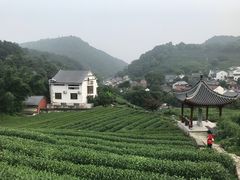 -龙井村