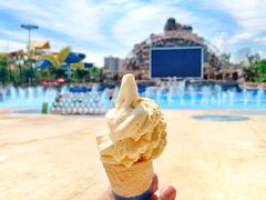 -美的鹭湖探索王国