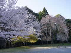 -醍醐寺