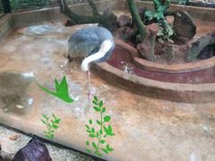 -海南热带野生动植物园