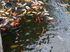景点-珠海圆明新园