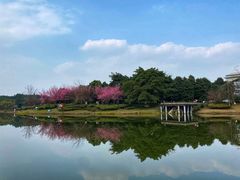 -四川大学(江安校区)