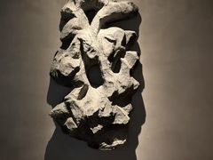 -CHIC1699远洋私厨