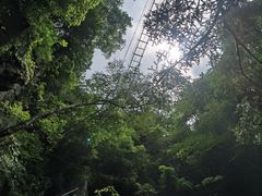 -藏龙百瀑风景区