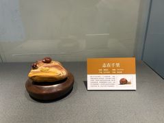 -大连自然博物馆