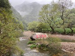 -水墨汀溪风景区