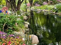 -上海共青森林公园