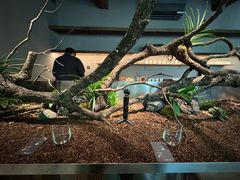 -曲廊院(东四十一条店)