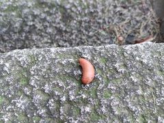 -崂山巨峰游览区