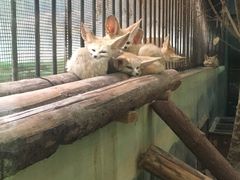 -昆明动物园