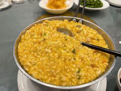 -丁老爷子苏香圆