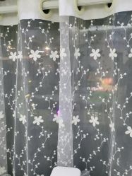 -苗医生草本科技祛痘