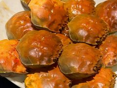 -太湖饭店玉兰厅(自助餐厅)