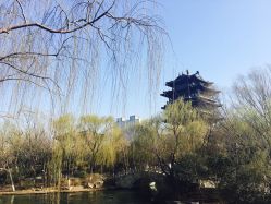 -世纪缘珠宝(济南品牌店)