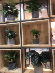 -曼都发型·臻选