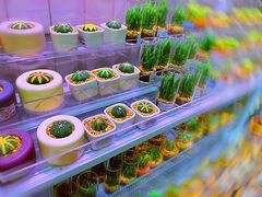 -KKV(深圳宏发大仟里店)