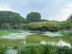 -河南省黄河迎宾馆