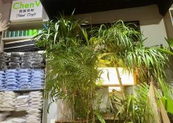 -ChenV西服礼服高级定制(市区养育巷店)