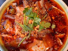 -陈麻婆豆腐总店