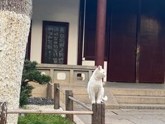 -寒山寺