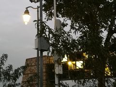 -深圳湾公园(南山区)
