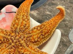 -曼格活海鲜·牛排自助(光明蓝鲸店)