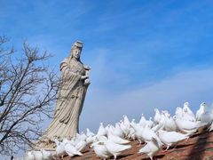 -天津妈祖文化园