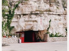 -仙蘑洞