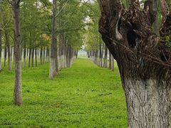 -汉长安城未央宫国家考古遗址公园