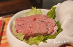 Delicate Brain Dish