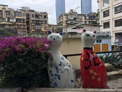 -猫咪博物馆(顶澳仔猫街店)