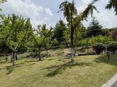 -狼山风景名胜区