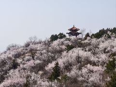 -白水寺森林公园