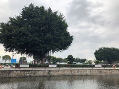 -石炮台公园