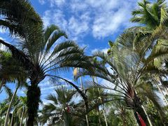 -中国科学院西双版纳热带植物园
