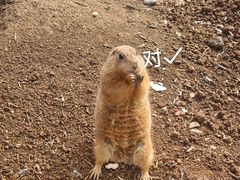 -滋滋烤肉(解放路创客店)