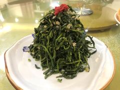 清香枸杞苗-国强手抓(北京西路店)