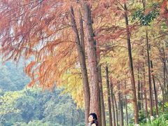 -重庆彩云湖湿地公园