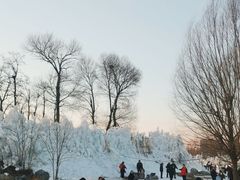 -潇河湿地公园