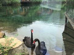 -杭州开元森泊度假乐园