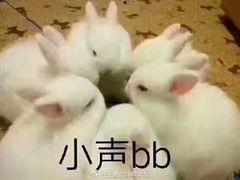 -皇品田苑日式料理(苏州中心店)