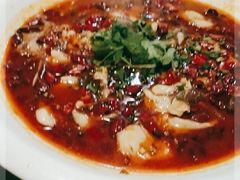 -飞虹鱼馆(春华路店)