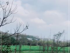 -贵阳市花溪国家城市湿地公园