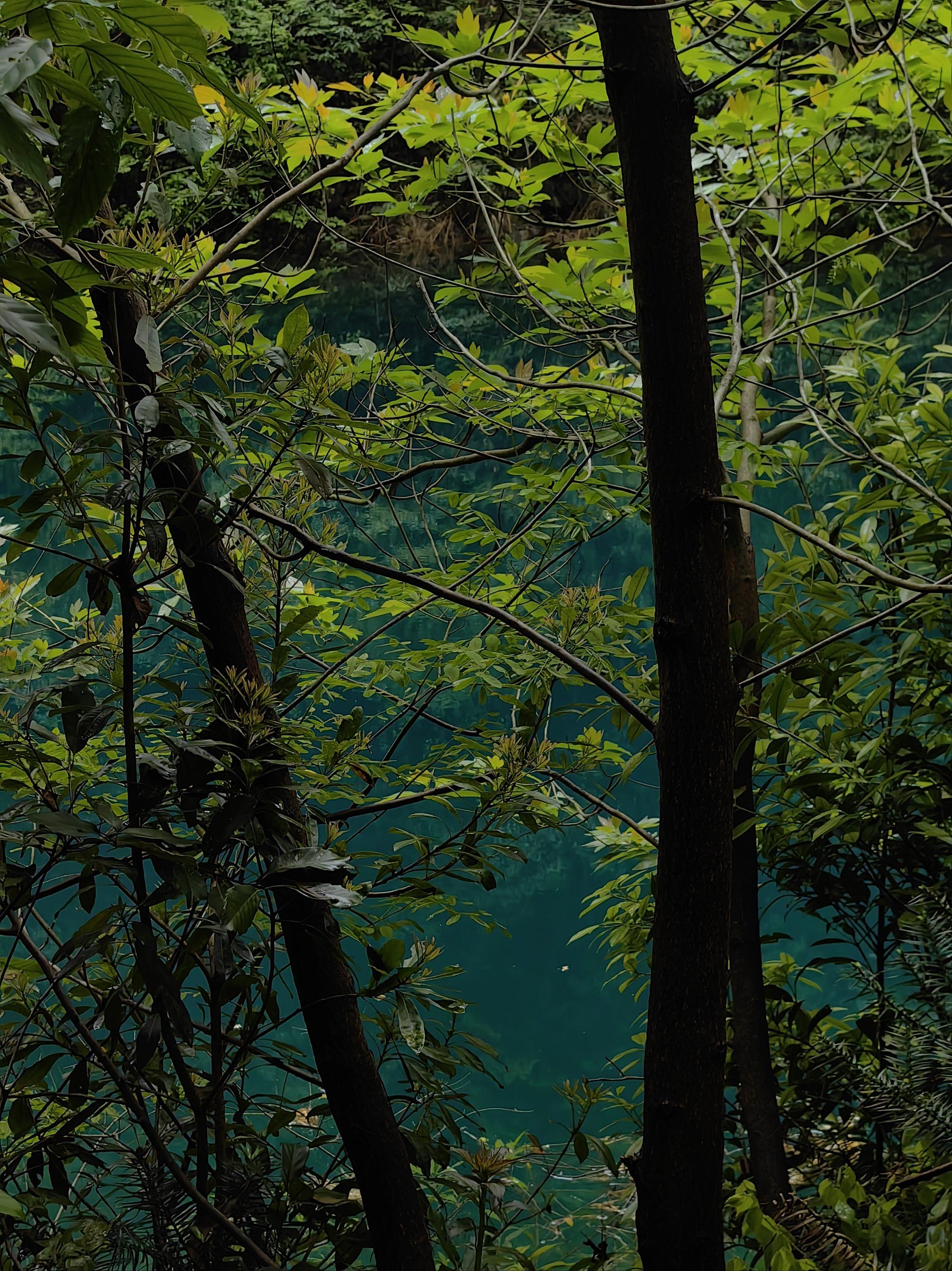 春天就是要被绿色团团围住呀