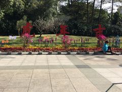 -晓港公园