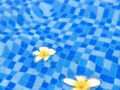 -三亚湾海居雅高铂尔曼度假酒店