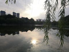 -月湖风景区