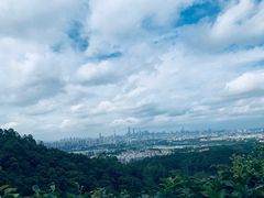 -火炉山森林公园