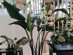 -顺风汤馆·广府粤菜(江宸天街店)