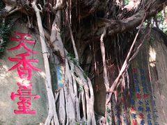 -乌山风景区